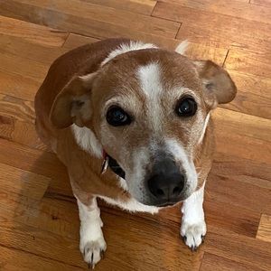 Meet your Posher, Jack